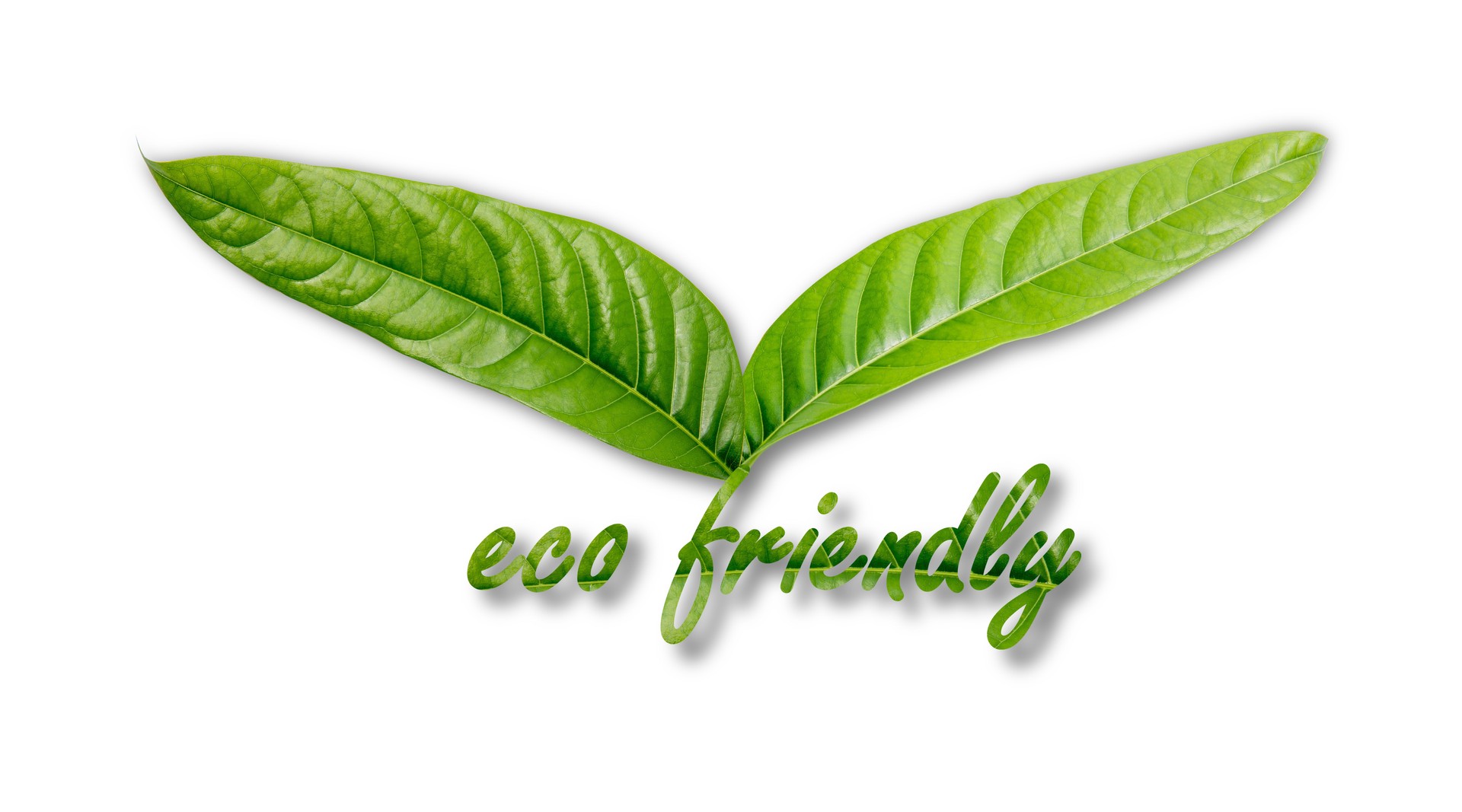 Two green leaves in a V-shape with eco friendly text below, symbolizing sustainability and natural living.